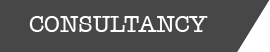 social media consultancy