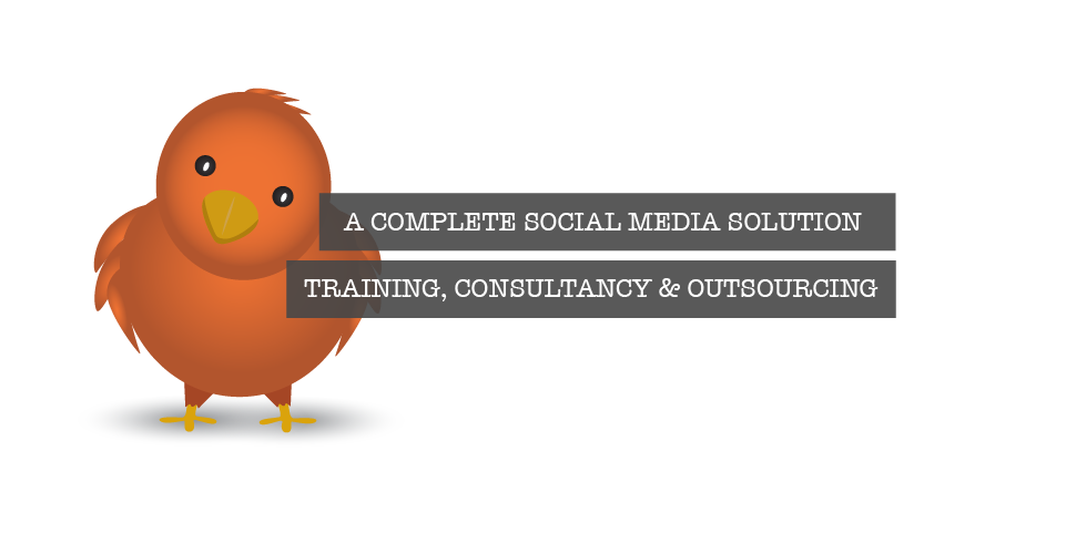 twitter management